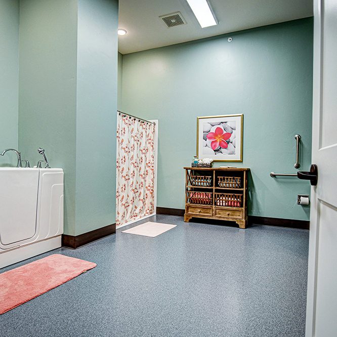 walk in tub and walk in shower spa room